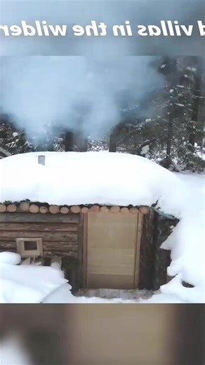 Build a blizzard shelter #build #building #survivaltips #outdoors #wildlife #snow #blizzard #foryou #viral | Bush Craft