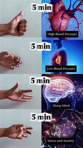 4 Powerful Mudras for Heart Health, BP & Stress Relief | 5 Minutes Daily 🧘‍♀️