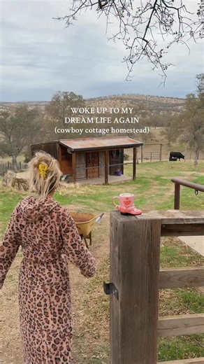 Pumpkin shaped cinnamon rolls, sharing coffee with a cow, finding garden treasures-so much to be thankful for #countrylife #homestead #california #sahm #breakfast | Halez Garcia at Home