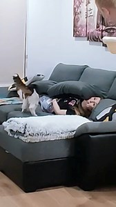 42K views · 1.5K reactions | Lights off challenge en pareja con Deiak Clips #humor #challenge #divertido | LunaDangelis | Facebook