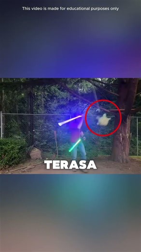 Pertarungan pedang cahaya yang tergantung di pohon di tengah kegelapan malam.#shorts