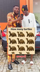 27K views · 103 reactions | How many turtles are there !! | Sparrows TVs | Facebook