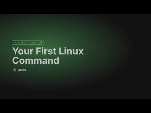 Welcome to the Terminal — echo "text", date, whoami, and more for Linux beginners
