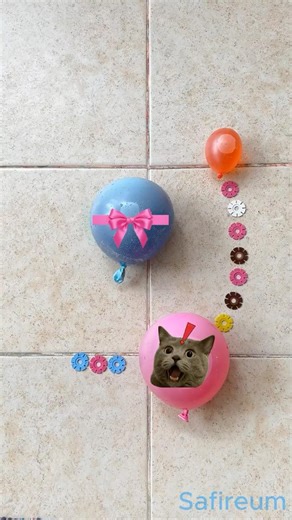 Popping Color Water Balloons with Smileys — In Reverse 🔄🎈💦 #poppballons #funny #satisfying