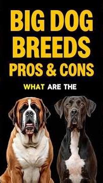 BIG DOG BREEDS PROS & CONS 🐕 Best Large Dog Facts & Tips First Time Owners & Families Need to Know!