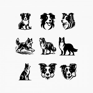 Border Collie Dog. 9 Svg Bundle. Svg Png Eps Dxf Cut Files. - Etsy