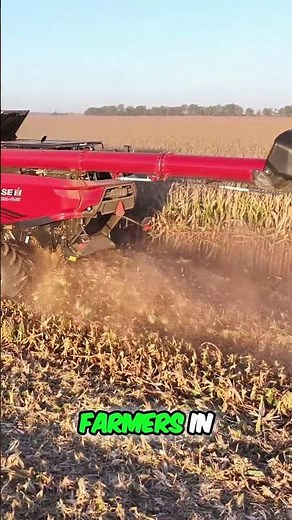 Case IH AF Combine: See it at Your Local Dealer! #shorts