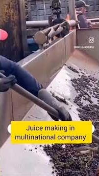 Snake 🐍 Juice making in multinational company😱 #cobra #python #snake #factory