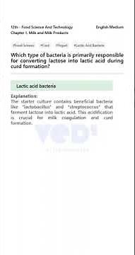 Curd Formation: What's the Magic Bacteria? | Food Science