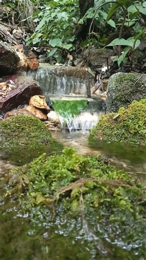 Peaceful Stream Loop