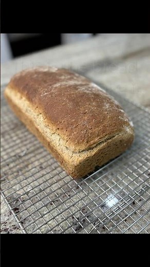 Hearty Wheat Bread with Hemp Hearts (No, It Won’t Get You High)| Easy, Nutritious, and Delicious!