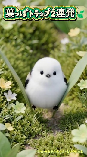 シマエナガ🕊️葉っぱトラップ2連発🍃ふわふわ過ぎて通れない！？ #シマエナガ#癒し動画#鳥