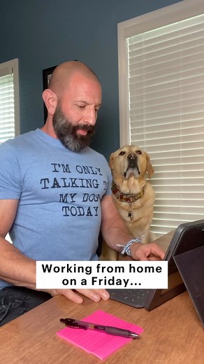 200K views · 10K reactions | What is it like when you work from home?...