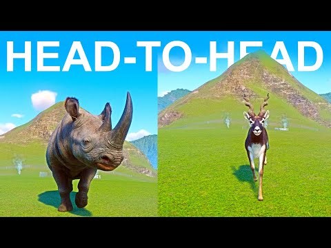 Blackbuck vs Black Rhinoceros A Head to Head Speed Race in Planet Zoo