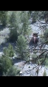 Bill Barlee's old claim in the Tulameen and other gold. | The Slumach Pitt Lake Lost Creek Gold Mine Saga