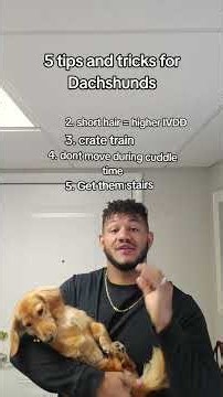 bet you didnt know #2