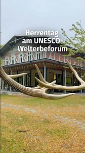 Herrentag im Nationalpark Jasmund am UNESCO-Welterbeforum 🌳🍻
