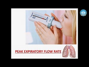Video lesson "Methodology for peak expiratory flow rate."