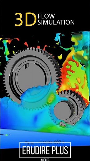 CFD SolidWorks Free Surface | ERUDIRE PLUS Shorts