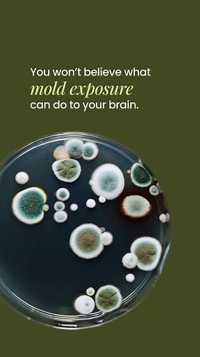 Many think of mold as an allergy or asthma issues, but research shows it can quietly rewire how your brain functions. Here’s how: - 🔥Neuroinflammation — Mycotoxins from mold can cross the blood-brain barrier, activating microglia (the brain’s immune cells). This inflammation can lead to brain fog, confusion, and slower thinking. - 😞Mood disruption — Chronic inflammation affects serotonin and dopamine balance, the same pathways linked to anxiety, depression, and irritability. - 😰Stress system 