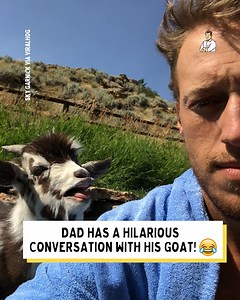 134K views · 1.8K reactions | They're secret best friends  | Dad Jokes | Facebook