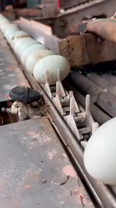 110K views · 179 reactions | egg factory 類 #viralreels #reelsviral #buildingtips #craftsmanship #howto # | How is it Done | Facebook