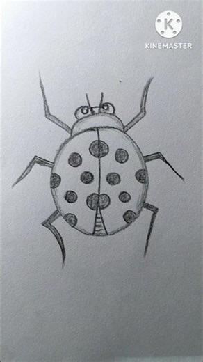 Easy insect drawing #art #trending #shortsvideo #shortsfeed #shorts #youtubeshorts