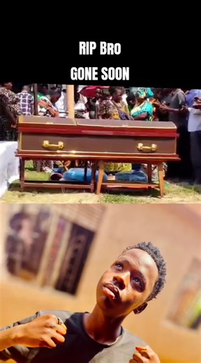 Remembering Our Little Bro: A Heartfelt Tribute