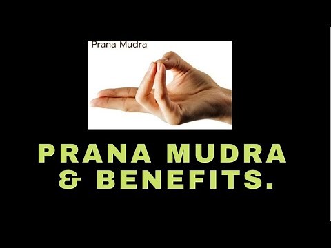 Prana Mudra : A Step by Step Guide, Benefits & Precaution |Episode 13| Gangothri Yogini