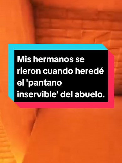 Mis hermanos se rieron cuando heredé el 'pantano inservible' del abuelo. #reddit #historytime #anecdotas #Chisme #paratiiiiiiiiiiiiiiiiiiiiiiiiiiiiiii