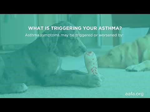 Understanding Asthma Triggers