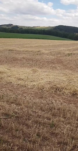 #freudeamfahren#krone#vollepulle @giiiiiid