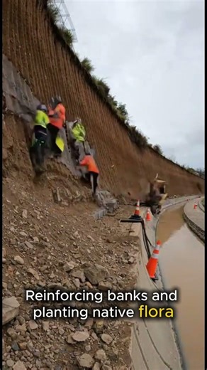 $7M FOREST CANAL RESTORATION 🌿 #shorts