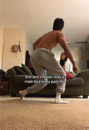 Not a thought in those eyes😂 #fyp #dance | male bird