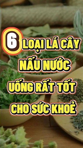 6 Loại Lá Cây Nấu Nước Uống Tốt Cho Sức Khỏe