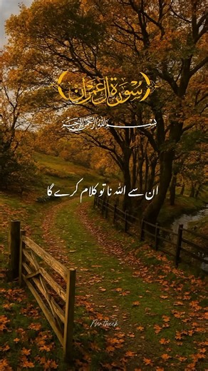 🌙 Al-Quran with English Translation ✨ | Heart Touching Recitation 💖#quran #islamicvideo