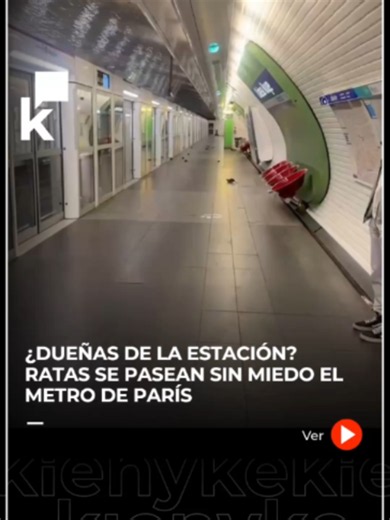 Cuando los pasajeros se van, las ratas se toman el metro de París! La estación Château Rouge vuelve a quedar en el centro de la conversación por la presencia de estos roedores. ¿Se subiría a un tren así? #París #Francia #Ratas
