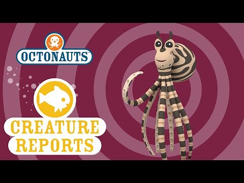 Octonauts: Creature Reports - Mimic Octopus