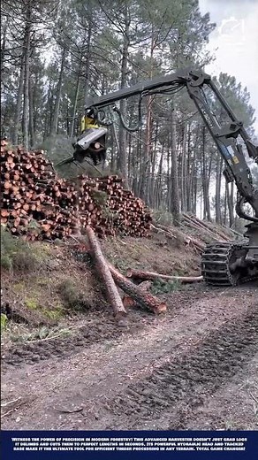Smart Tree Harvesting Machine Innovation: High-Speed Precision Cutting and Delimbing