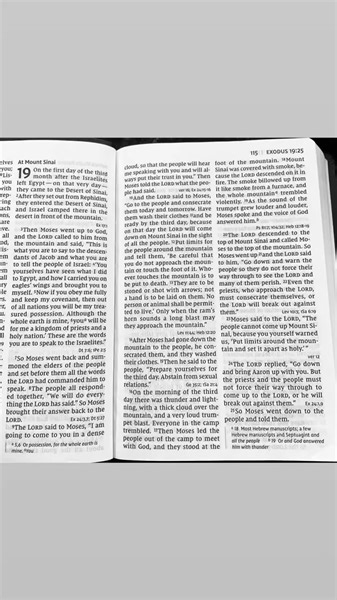 5.7K views · 310 reactions | FREE BIBLE STUDY: Three months after God...