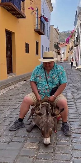 Funniest Donkey Ride Fail Ever!