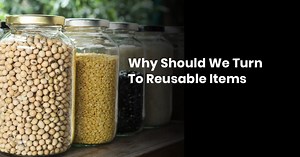 Why Should We Turn to Reusable Items » NatureCode