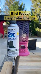 Easy Bird Feeder Color Change! #backyardwildlife #asmr #shorts