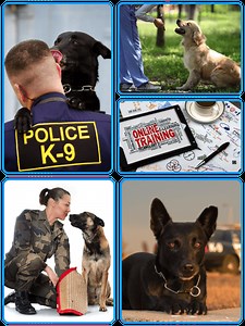 About Us - Expert K9 Training & Services | Custom Canine Unlimited
