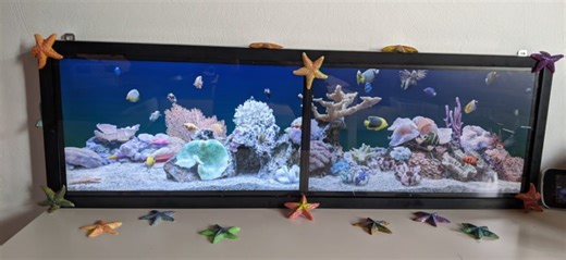 Virtual Aquarium #piday #raspberrypi @Raspberry_Pi