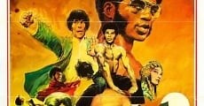 Black Dragon's Revenge (1975) Online - Película Completa en Español - FULLTV