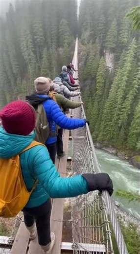 Tense Rope Bridge Creak