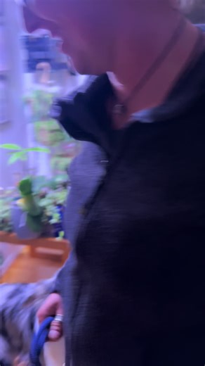 Sometimes a nervous system reset isn’t just about the hands-on work. With some dogs — especially the intelligent, sensitive ones — we need to engage the brain before the body can fully settle. Zion is incredibly smart. That means his system doesn’t always regulate just because I place my hands. Sometimes we start with simple obedience drills, structure, and focused commands. Why? Because thinking can be regulating. When we give the brain a job, the nervous system can shift from hyper-alert into 