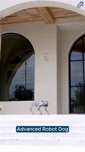 The Go2 quadrupeds comes in multiple configurations, each offering different levels of performance, features, and development capabilities. From entry-level options to advanced development platforms, all models share a common foundation: agile quadruped mobility and environmental perception using LiDAR and cameras for obstacle detection and navigation. This video highlights typical capabilities of the Go2 platform, but the right configuration depends on your goals. Explore the Unitree Go2 lineup