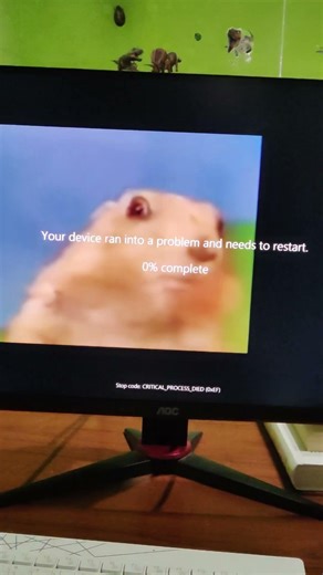 Dramatic Look Chipmunk Has BSOD 2025 November 12 #bsod #dramaticlook #chipmunk